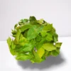 Merja Bay Leaves - Image 2