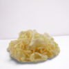 Organic Coconut Chips- 2Lbs - Image 4